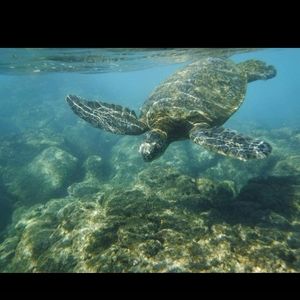 Meet your Posher, Scott